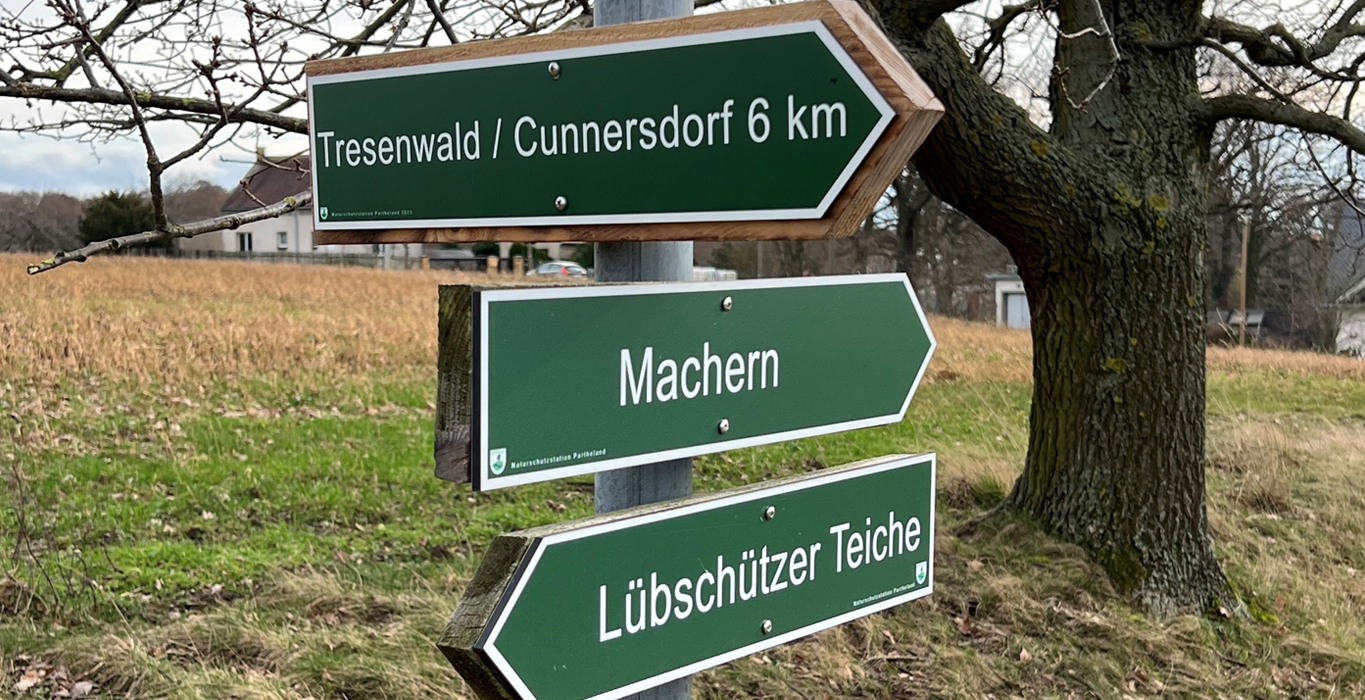 neue Baugrundstücke Machern Nord  – Tresenwaldbogen